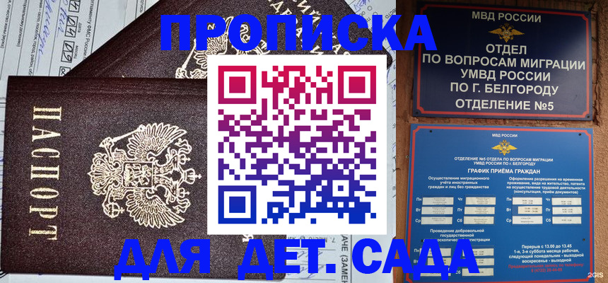 временная регистрация поиск в Майкопе